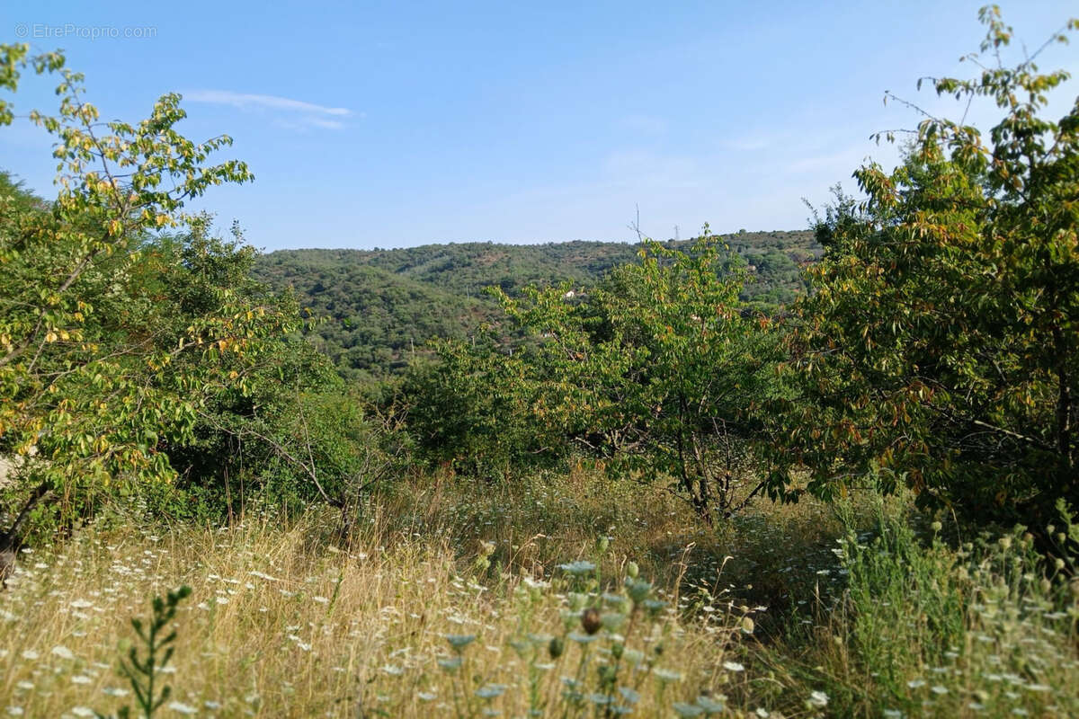 Terrain à REYNES