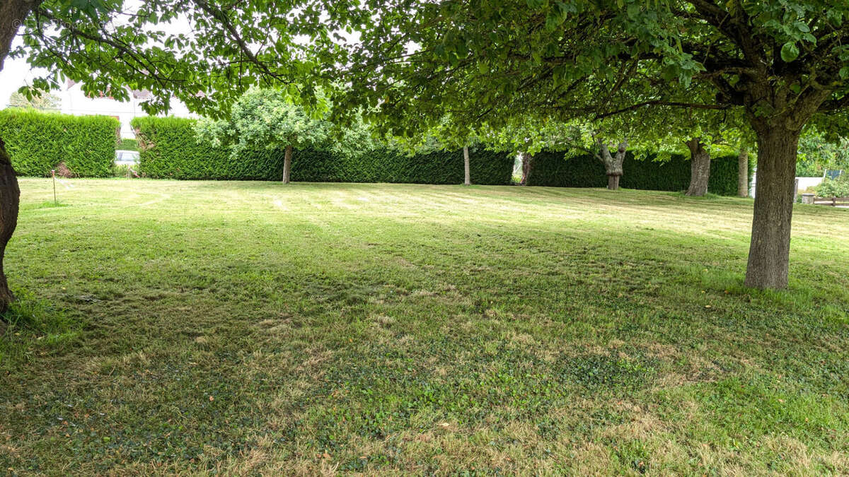 Terrain à BOULEURS