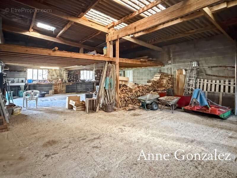 Maison à VIENNE-EN-VAL