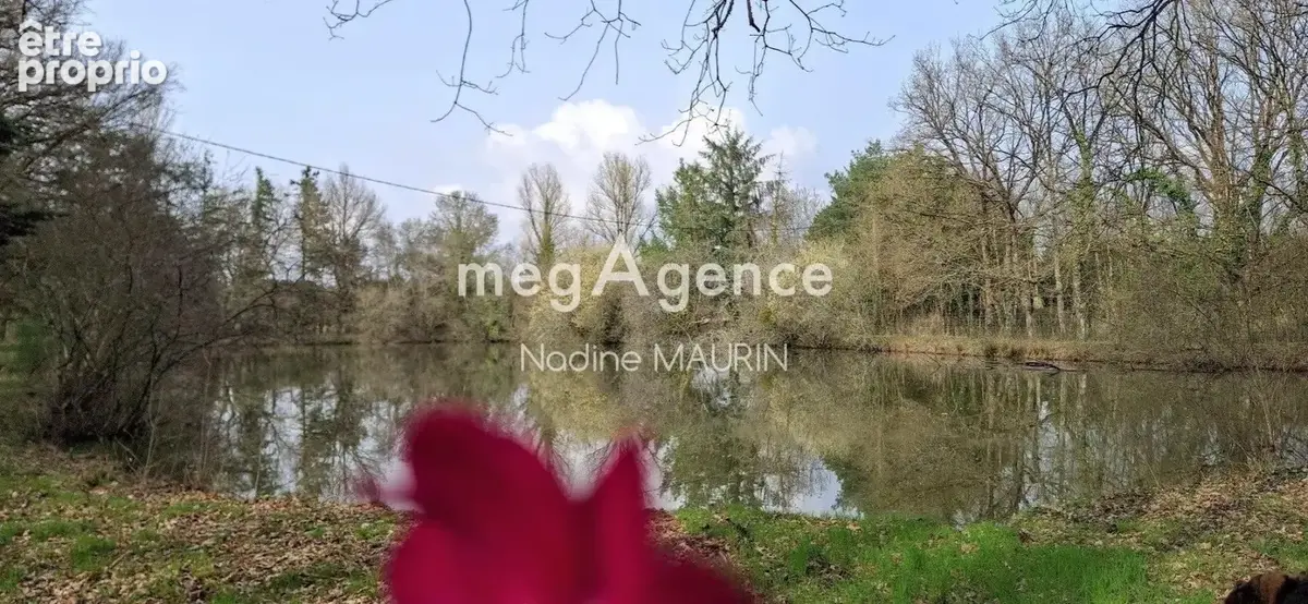 Mur de Sologne maison de 233 m² étang et piscine couverte - photo 2