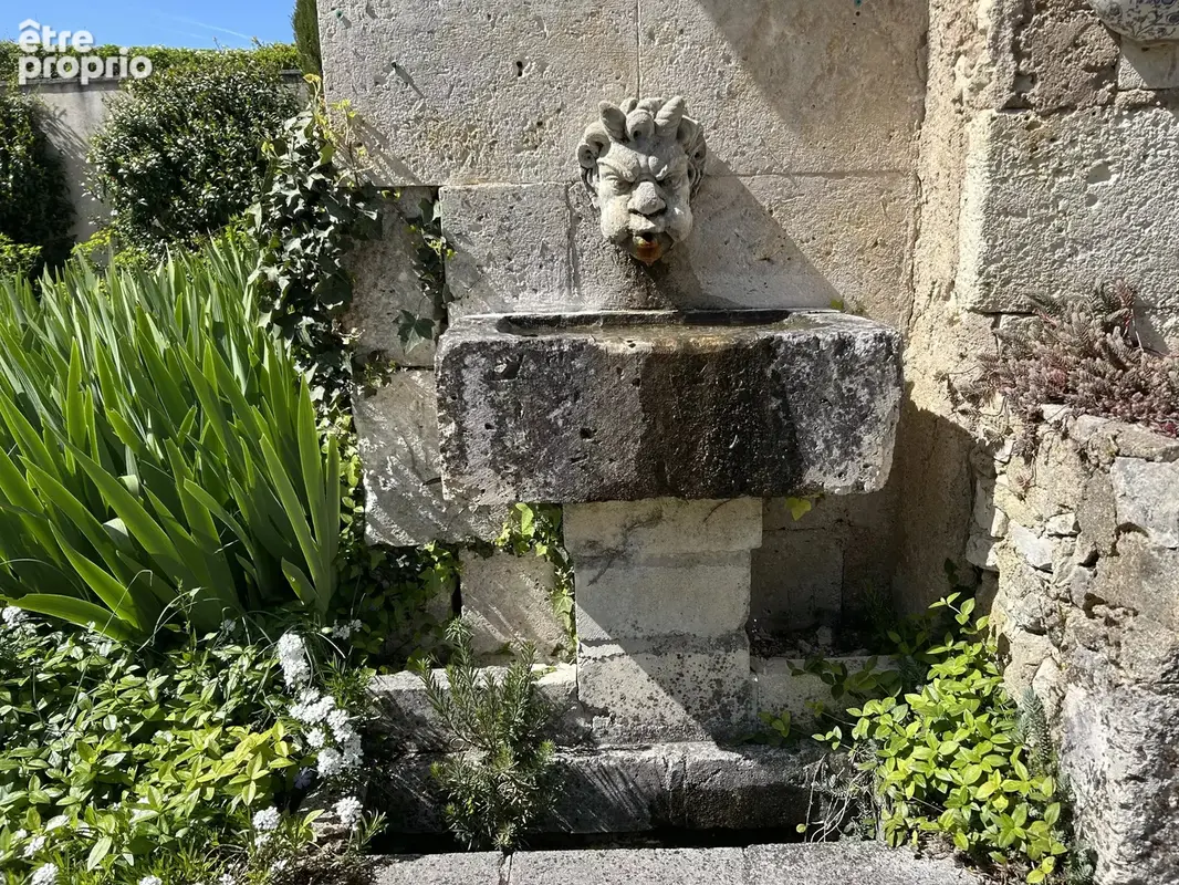Propriété d’exception avec piscine et dépendances - photo 18