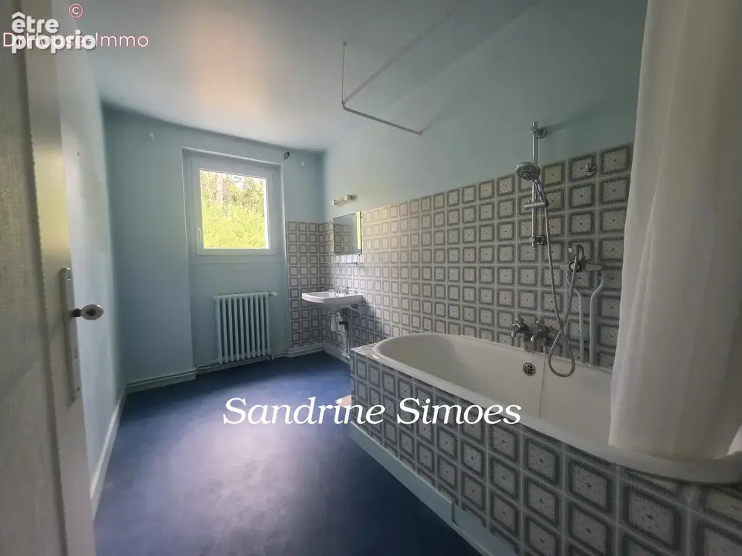 Maison 207 m² à Montmorillon  - photo 18