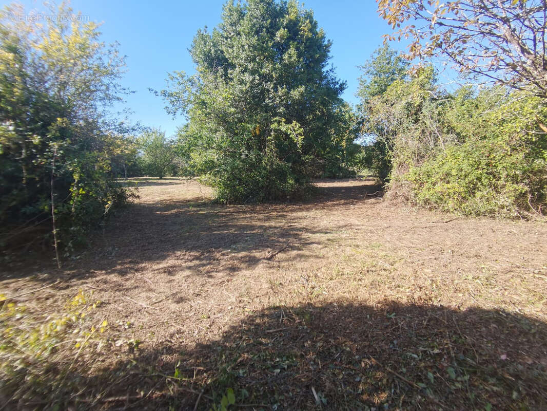 Maison à SAINT-CLAUD