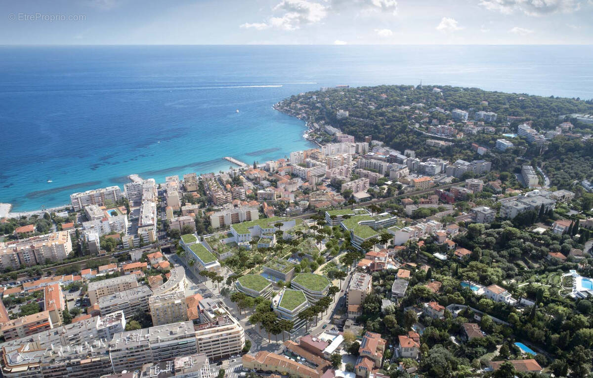 Commerce à ROQUEBRUNE-CAP-MARTIN