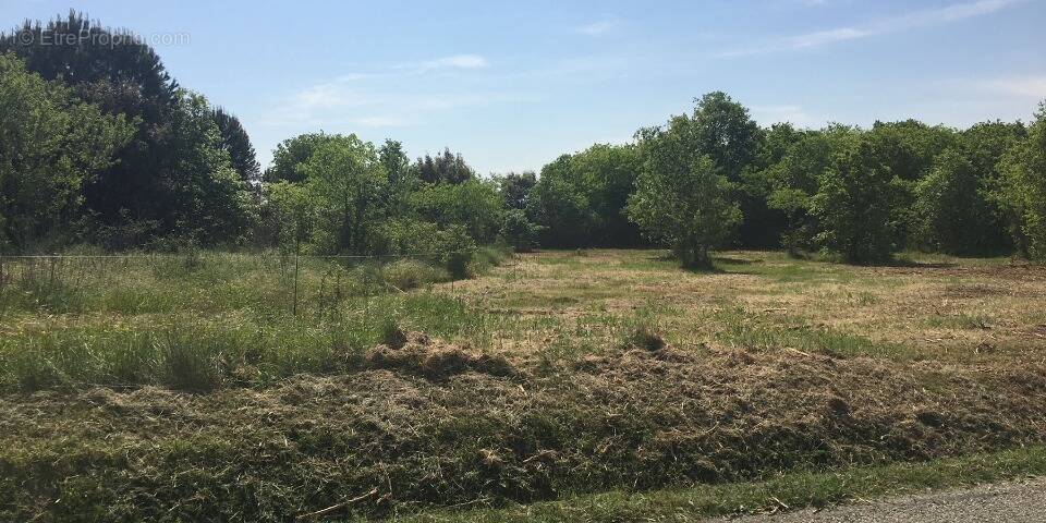 Terrain à MONTPEZAT