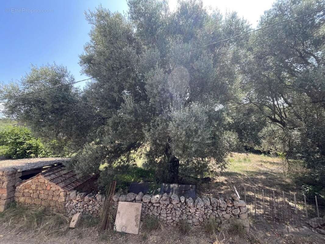 Maison à PORTO-VECCHIO