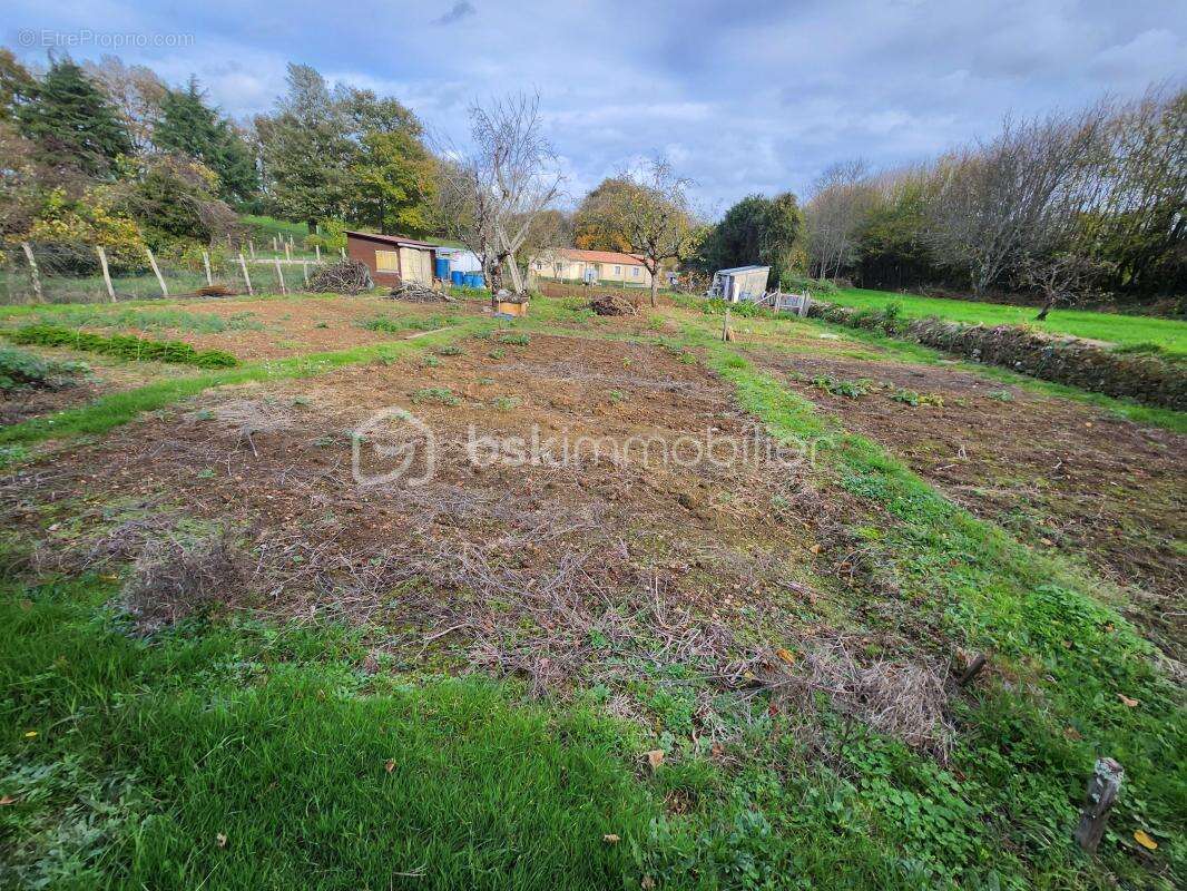 Terrain à JAZENEUIL