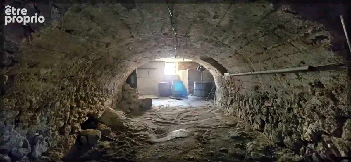 Saint-michel-de-chabrillanoux   propriété avec deux habitations, dépendances et plus de 15 000 m2 de terrain - photo 16