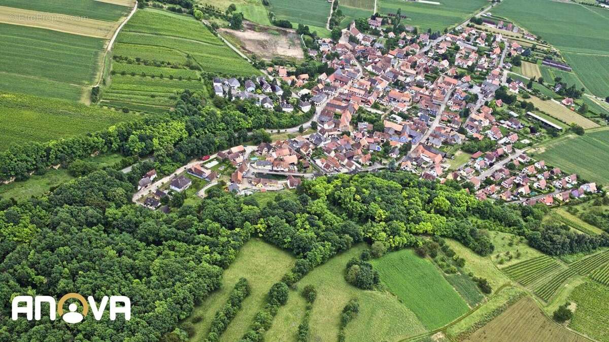 Terrain 408 m² à Kuttolsheim  - photo 2