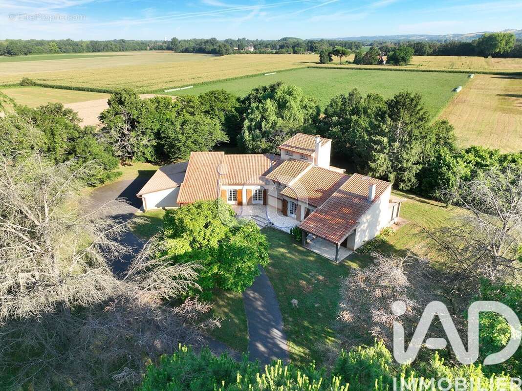 Photo 2 - Maison à VILLEMUR-SUR-TARN