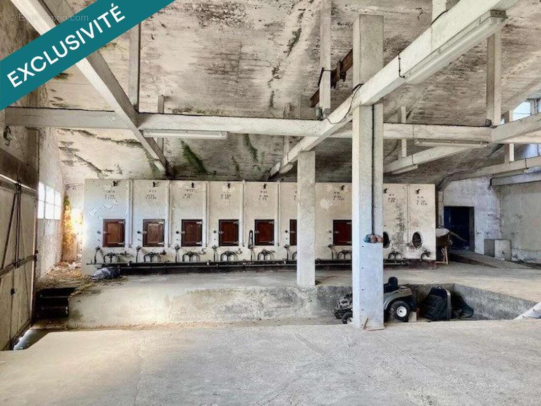 Photo 2 - Maison à CASTELNAU-D&#039;AUZAN