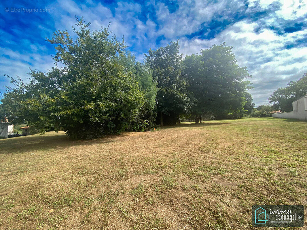 Terrain à LE PELLERIN