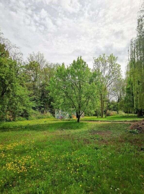 Terrain à LONGUEIL-SAINTE-MARIE