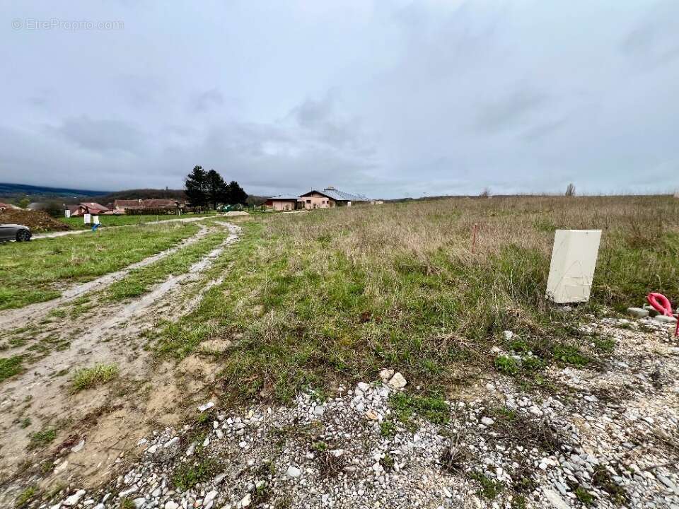 Terrain 430 m² à Eloise  - photo 2
