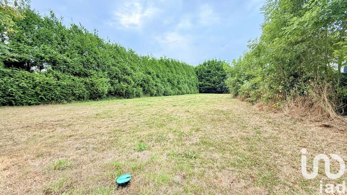 Photo 2 - Terrain à MOELAN-SUR-MER