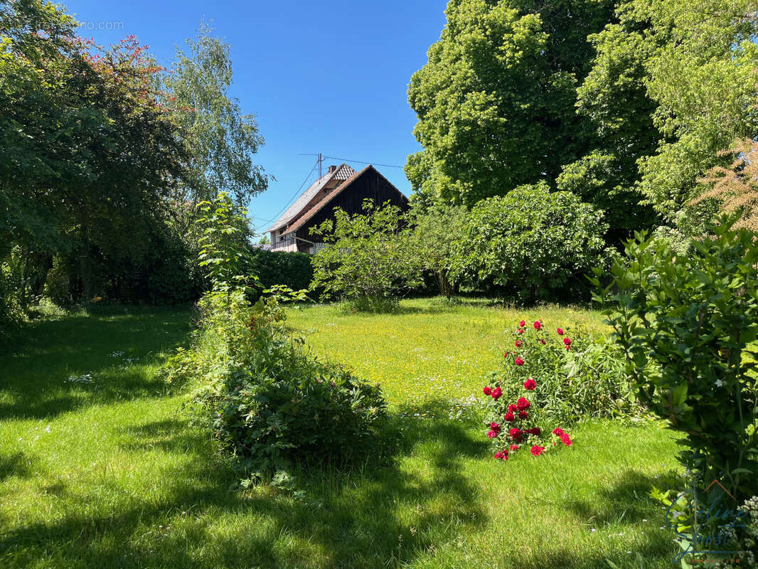 Maison à MARCKOLSHEIM