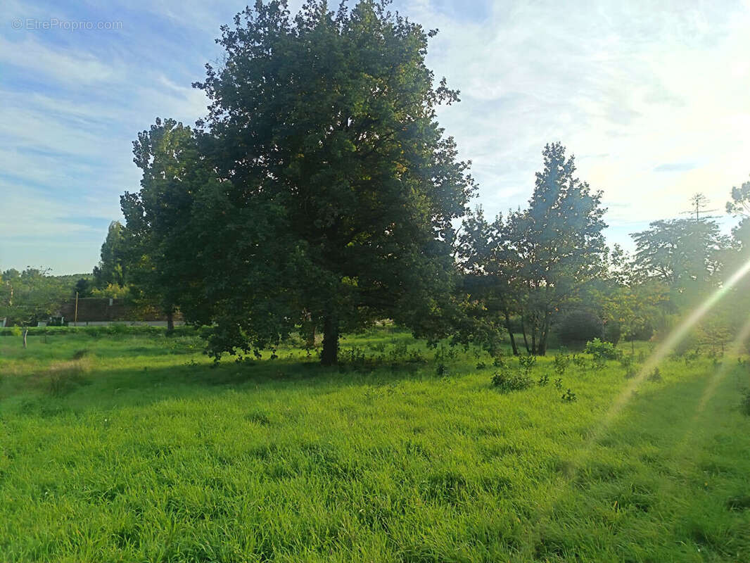 Terrain à SELLES-SUR-CHER