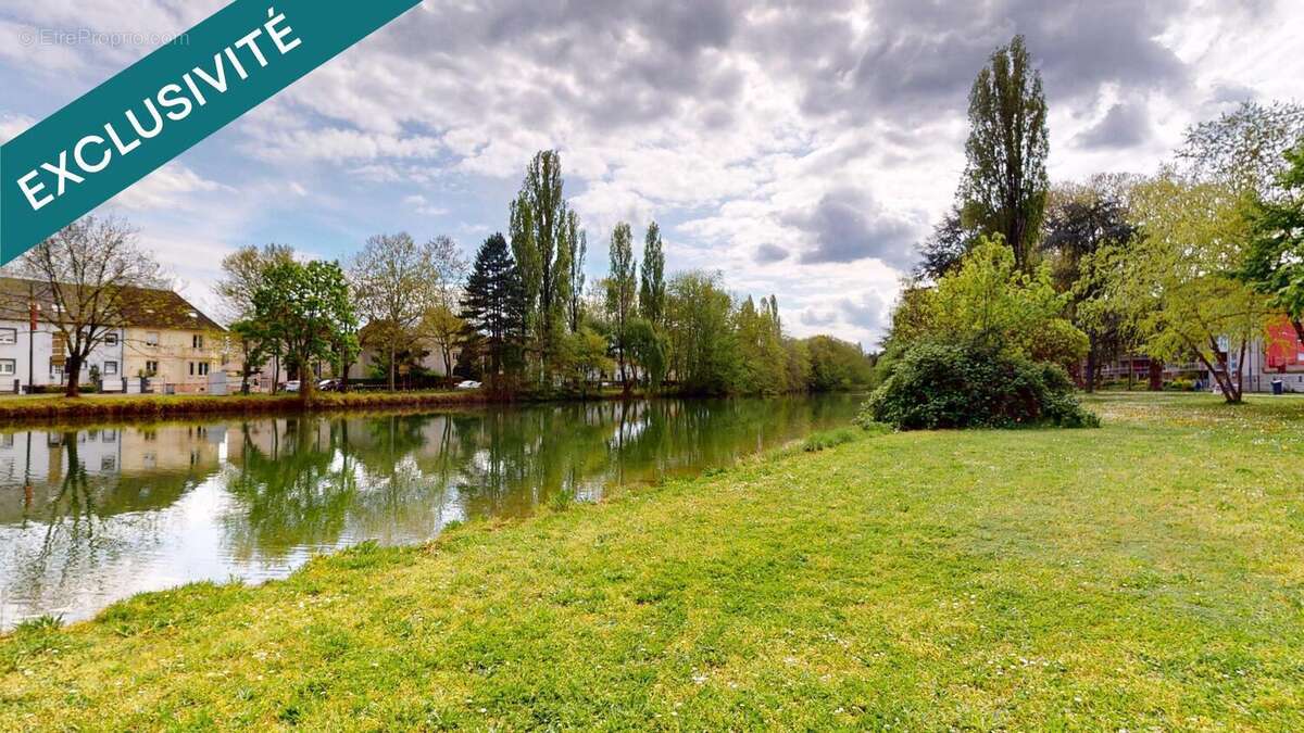 Photo 6 - Appartement à MULHOUSE