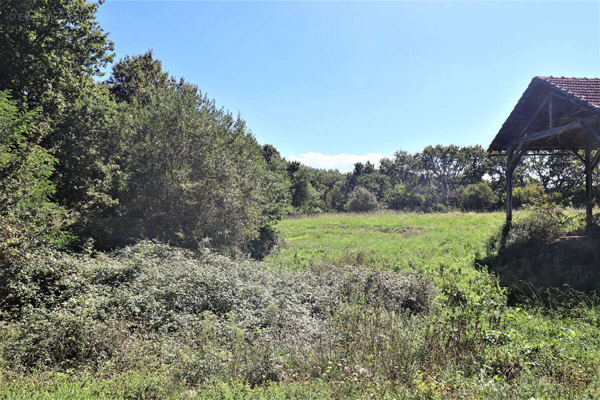 Maison à SAINT-MARTIN-DE-HINX