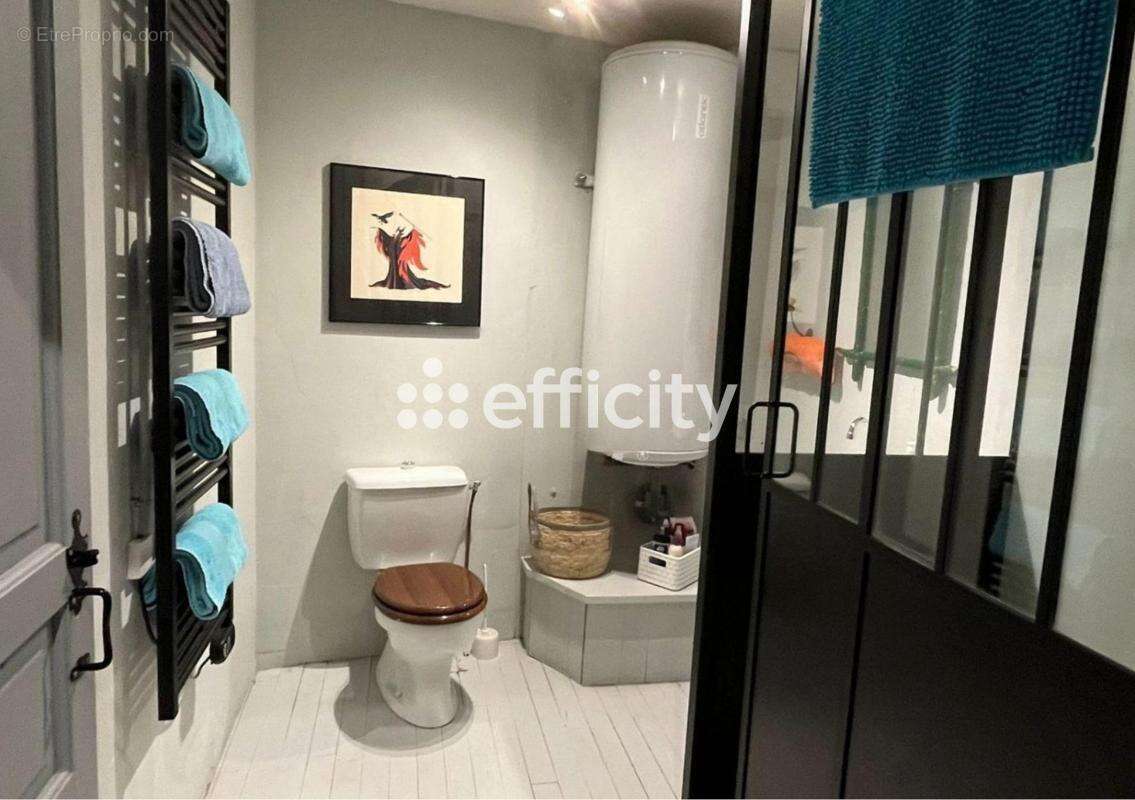 Maison 284 m² à Cordes-Sur-Ciel  - photo 9
