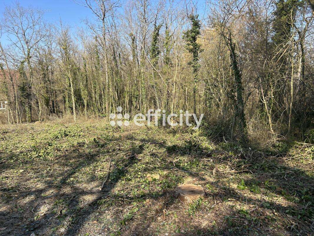 Terrain à VERNOU-LA-CELLE-SUR-SEINE