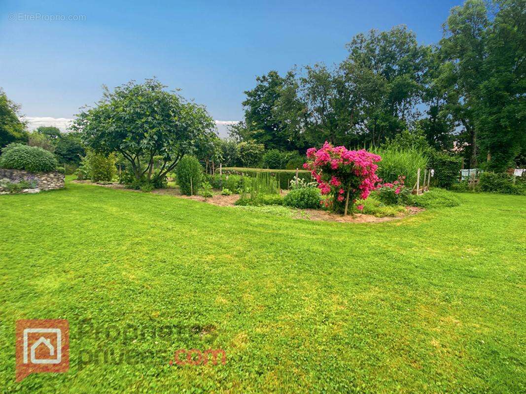 Maison à MONTIGNY-LA-RESLE