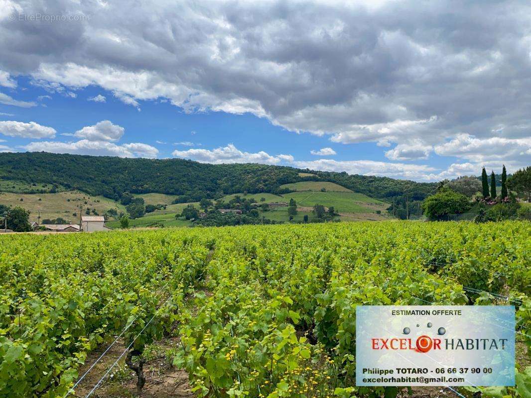Maison à LA CHAPELLE-DE-GUINCHAY