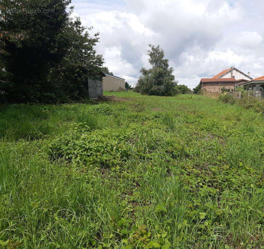 Terrain 1355 m² à Bongheat  - photo 7