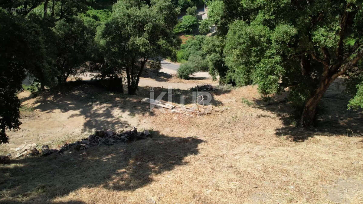 Terrain Constructible-1550 m2-Poggio D Oletta (Nebbio)vue dégagée - photo 13