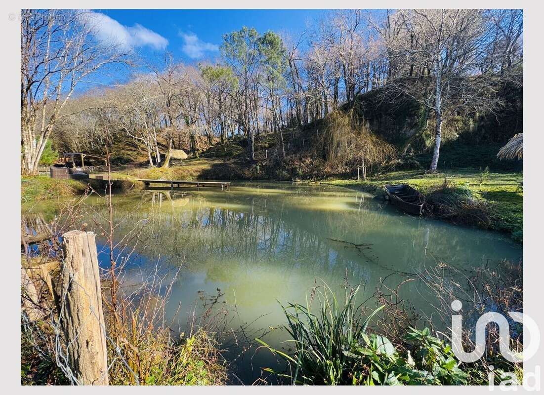 Photo 8 - Maison à SAINT-ANDRE-DE-SEIGNANX