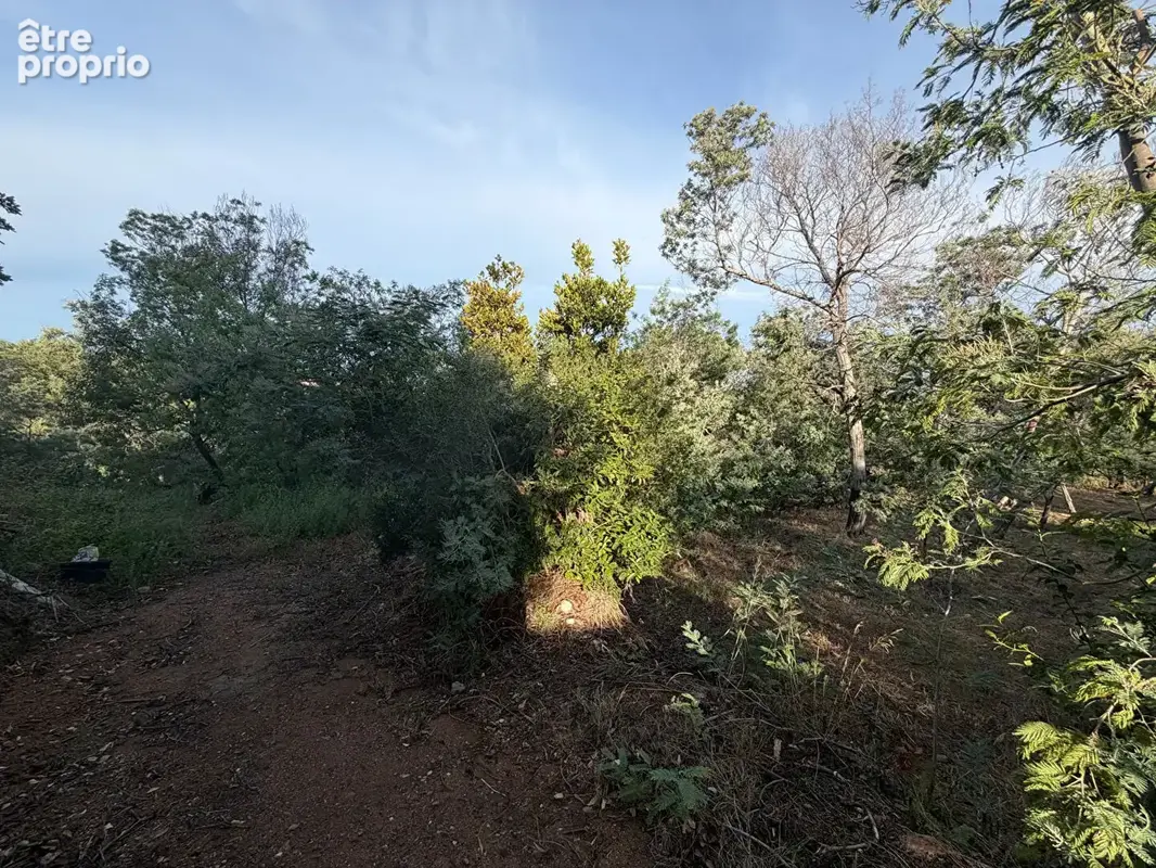 Cannes - croix-des-gardes  propriété à fort potentiel sur 3 920 m² - photo 11