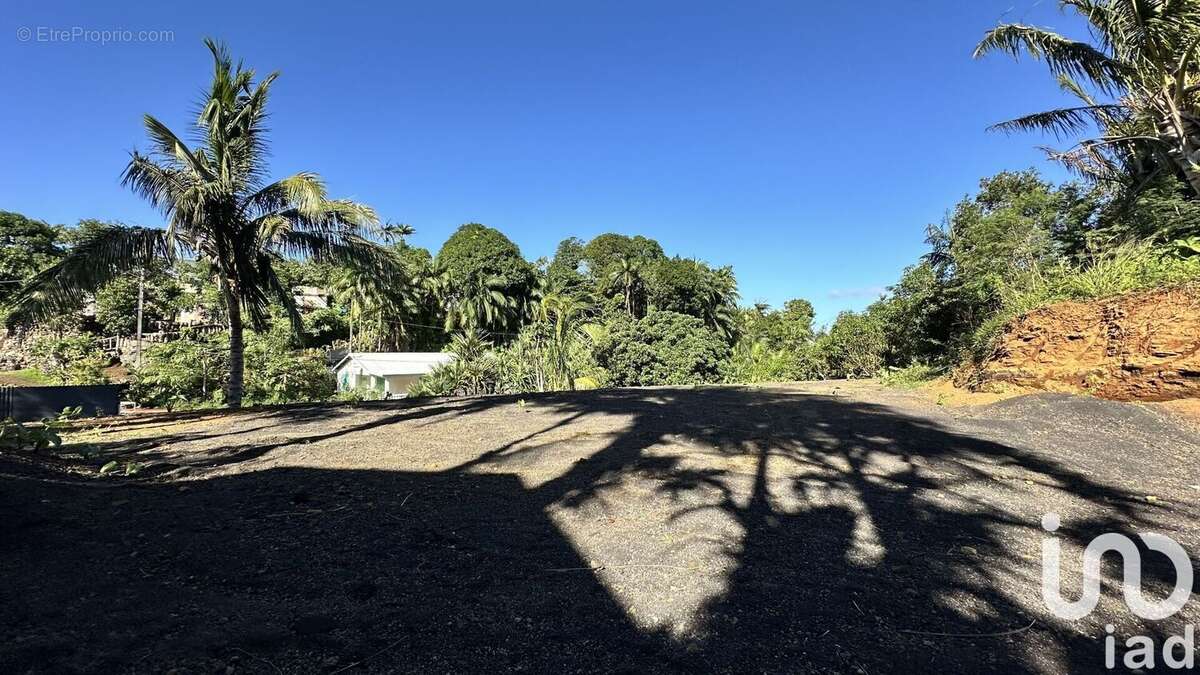 Photo 2 - Terrain à SAINT-JOSEPH
