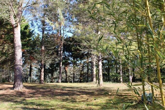 Terrain à FLEURANCE