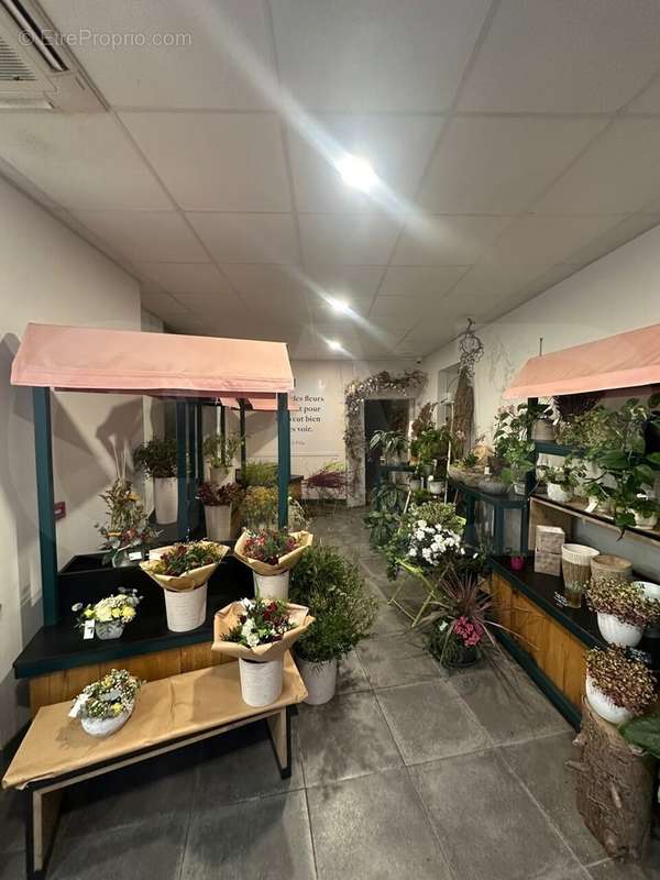 Commerce à LAMBALLE