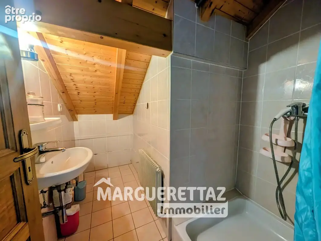 Local commercial + maison SAINT JEOIRE - photo 17