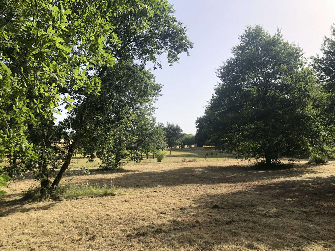 Terrain à CAZAUBON