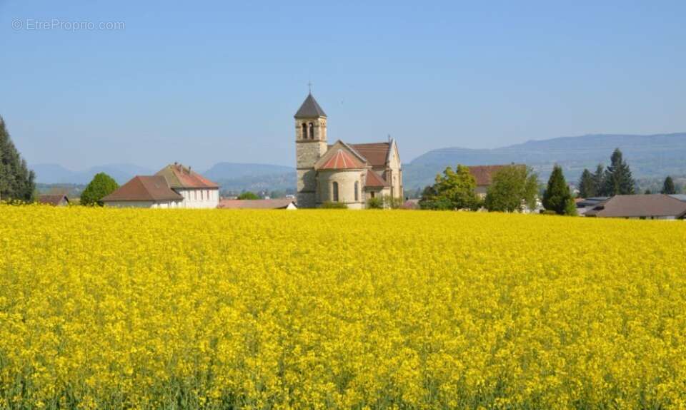 Terrain à CHATONNAY