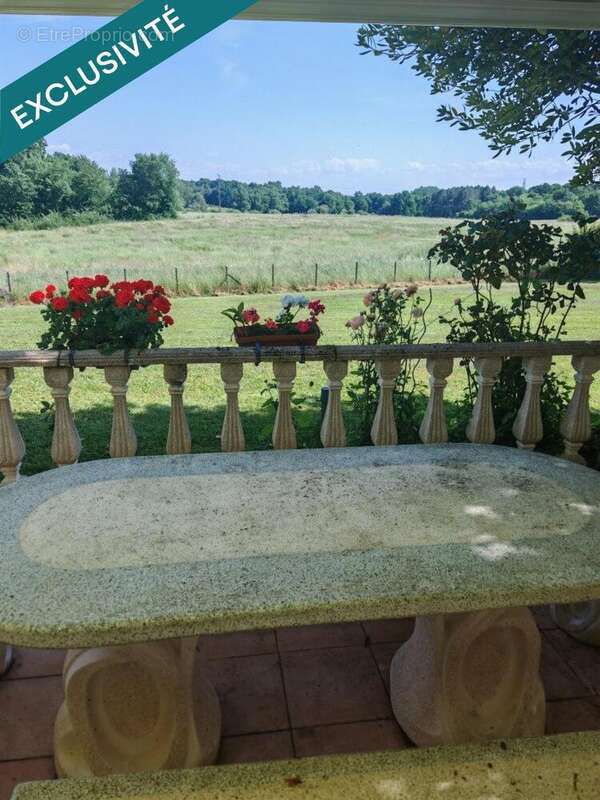 Photo 9 - Maison à MONTENDRE