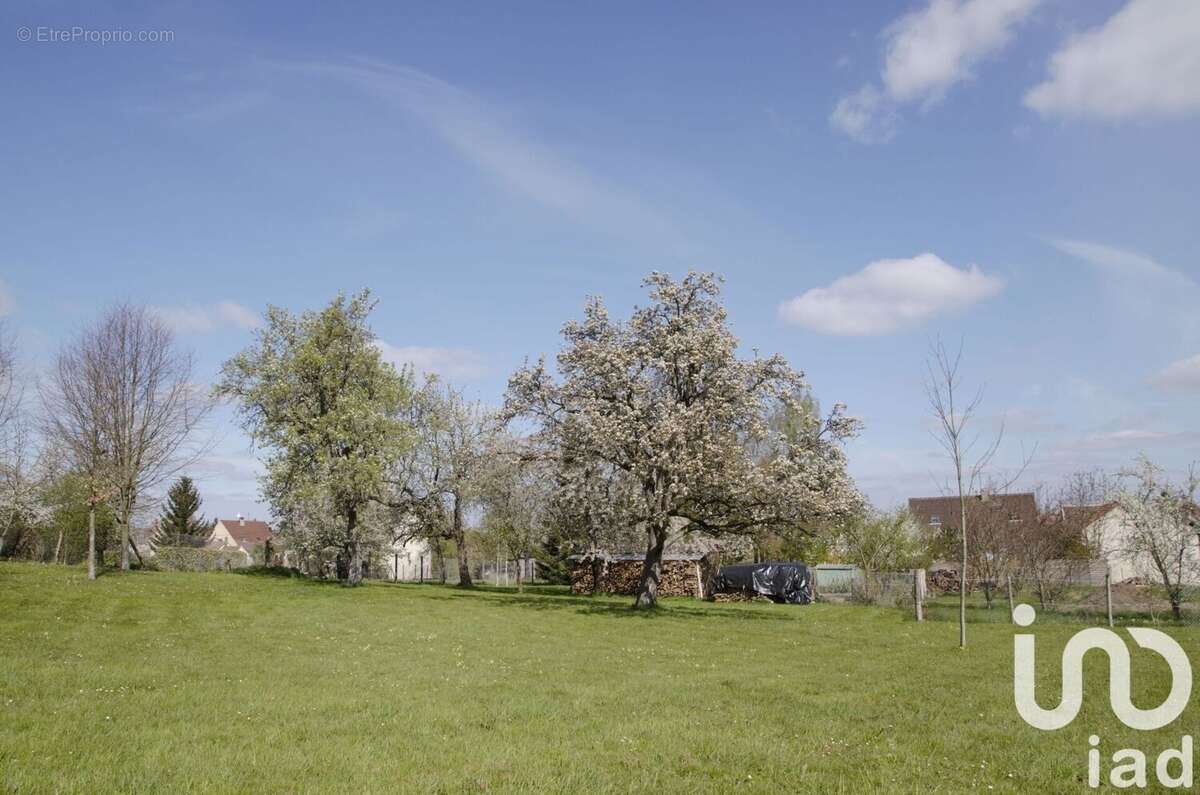 Terrain 3511 m² à Ville-Saint-Jacques  - photo 5