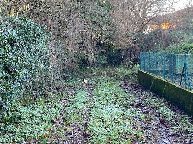 Terrain à MONTREVEL-EN-BRESSE