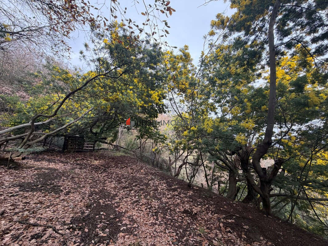 Terrain à CERET
