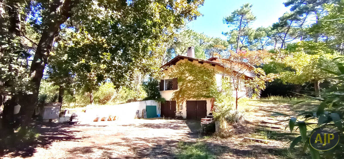 Maison à LEGE-CAP-FERRET