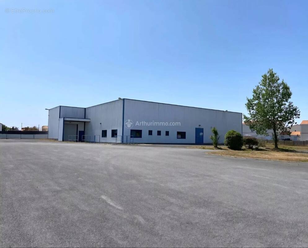 Commerce à BEAUVOIR-SUR-MER