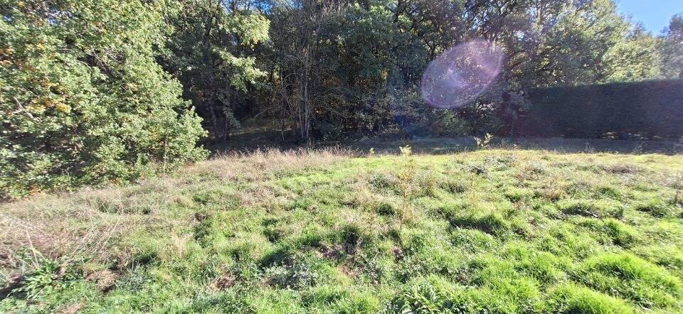 Terrain à BONREPOS-SUR-AUSSONNELLE