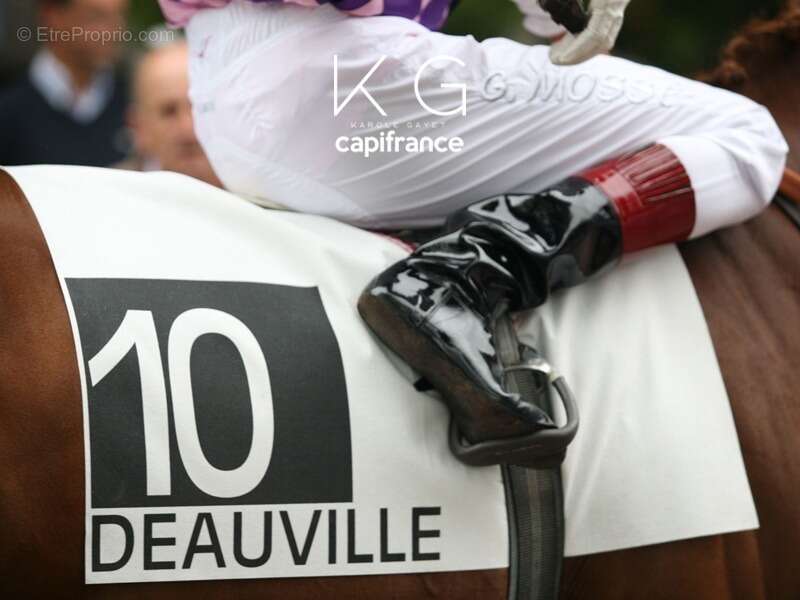 Commerce à DEAUVILLE