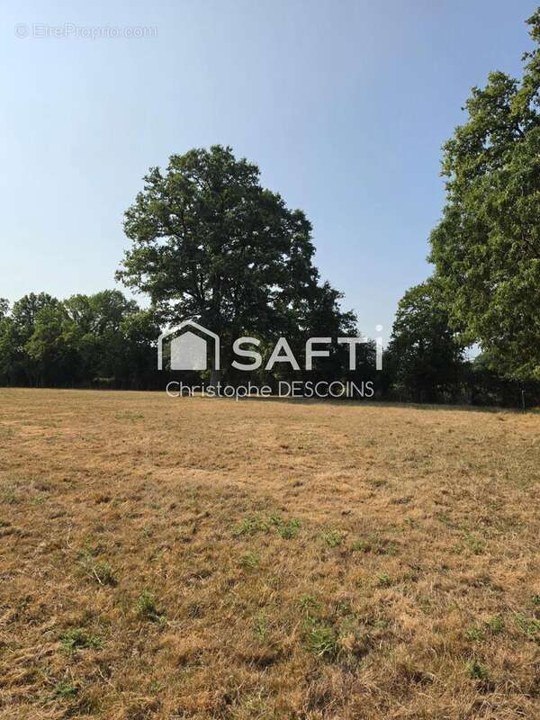 Terrain 96004 m² à Loiron  - photo 2