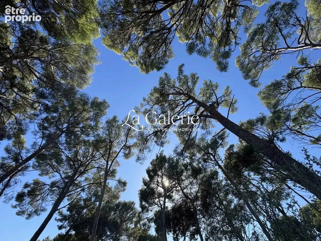 Terrain 916 m² à vendre à Sanary-Sur-Mer (83110) - photo 3