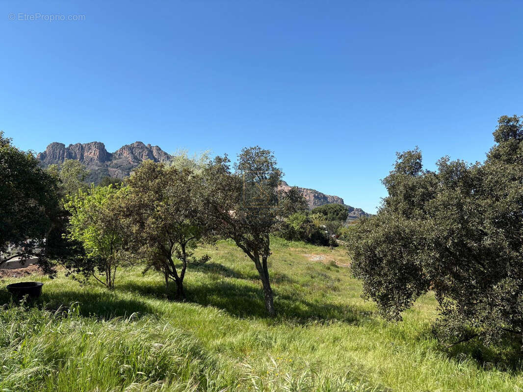 Terrain à ROQUEBRUNE-SUR-ARGENS