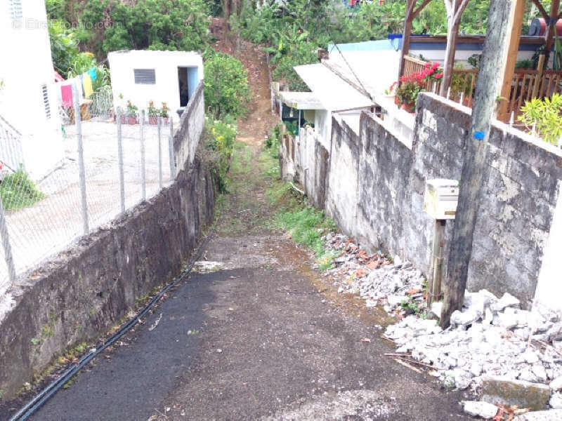 Terrain à SAINT-JOSEPH