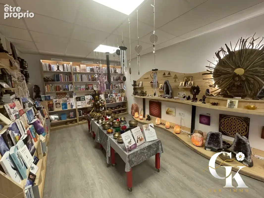 Commerce 243 m² à vendre à Grenoble (38000) - photo 2